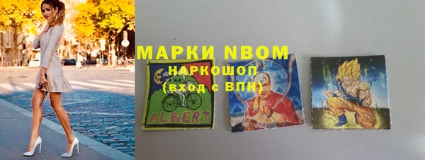 шишки Богородск