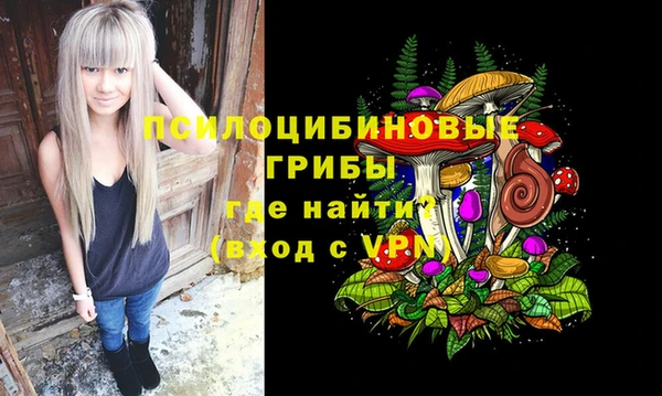 ГАЛЛЮЦИНОГЕННЫЕ ГРИБЫ Богородицк