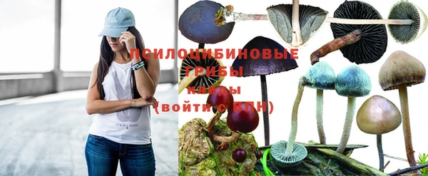 шишки Богородск